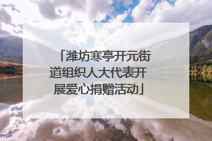 潍坊寒亭开元街道组织人大代表开展爱心捐赠活动